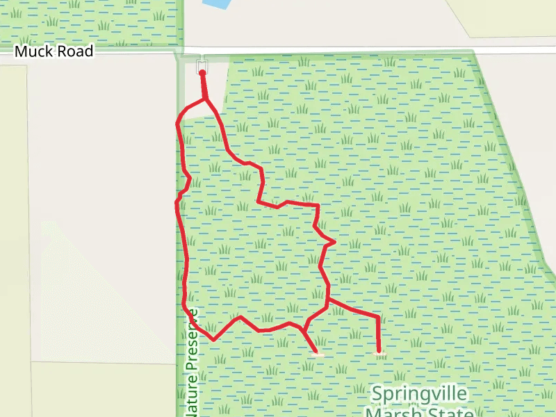Springville Marsh Boardwalk Loop