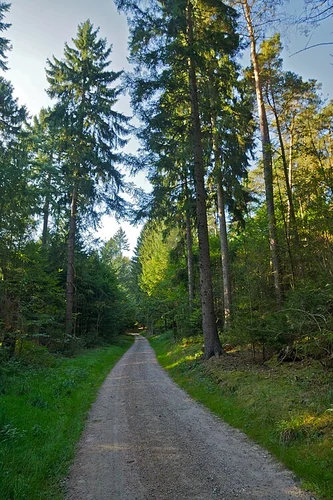 Leienbergweg