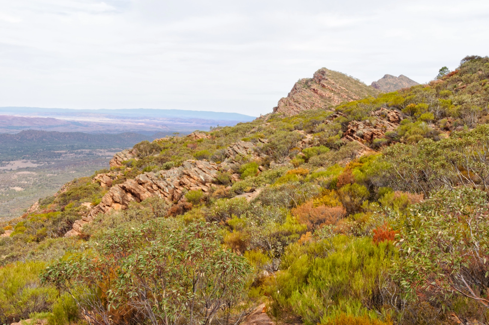 An image depicting the trail Bridle Gap Hike and its surrounding area.