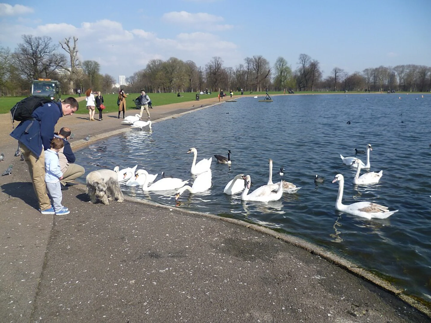 An image depicting the trail Serpentine, Hyde Park, Round Pond and Holland Park Walk and its surrounding area.
