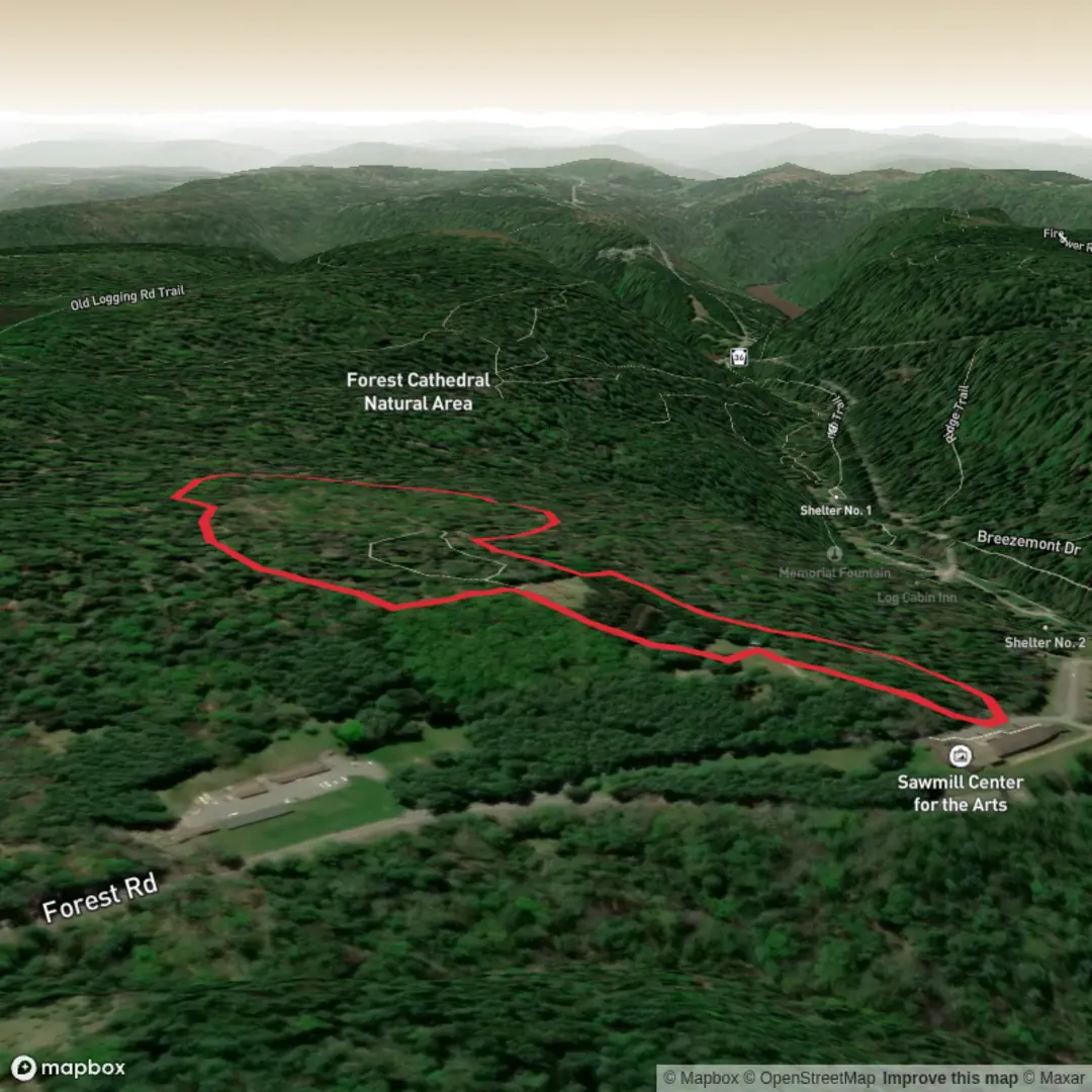 An image depicting the trail Black Bear Trail and its surrounding area.