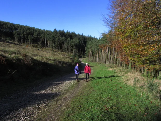 Ridgegate Reservoir and Nessit Hill Loop
