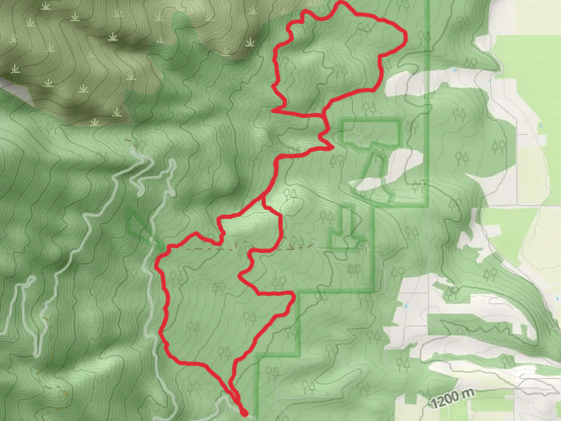 Coyote Coulee Trail