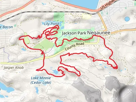Lily Pond, Old Dump Trail and Carroll Jackson Loop Trail