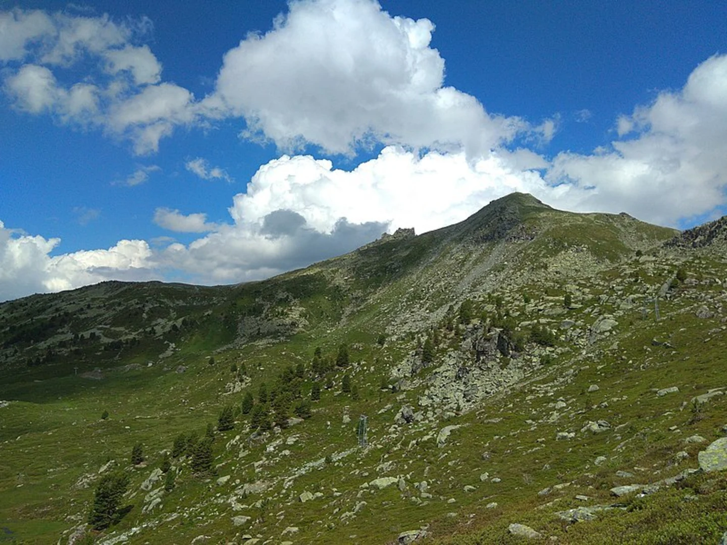 An image depicting the trail Charcoal Miners Trail and its surrounding area.