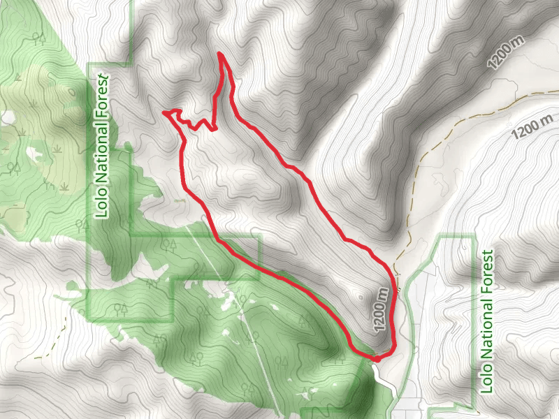 Ewok - Spring Gulch Loop