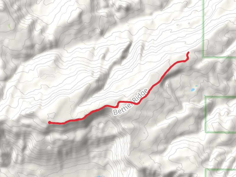 Bethel Ridge Trail