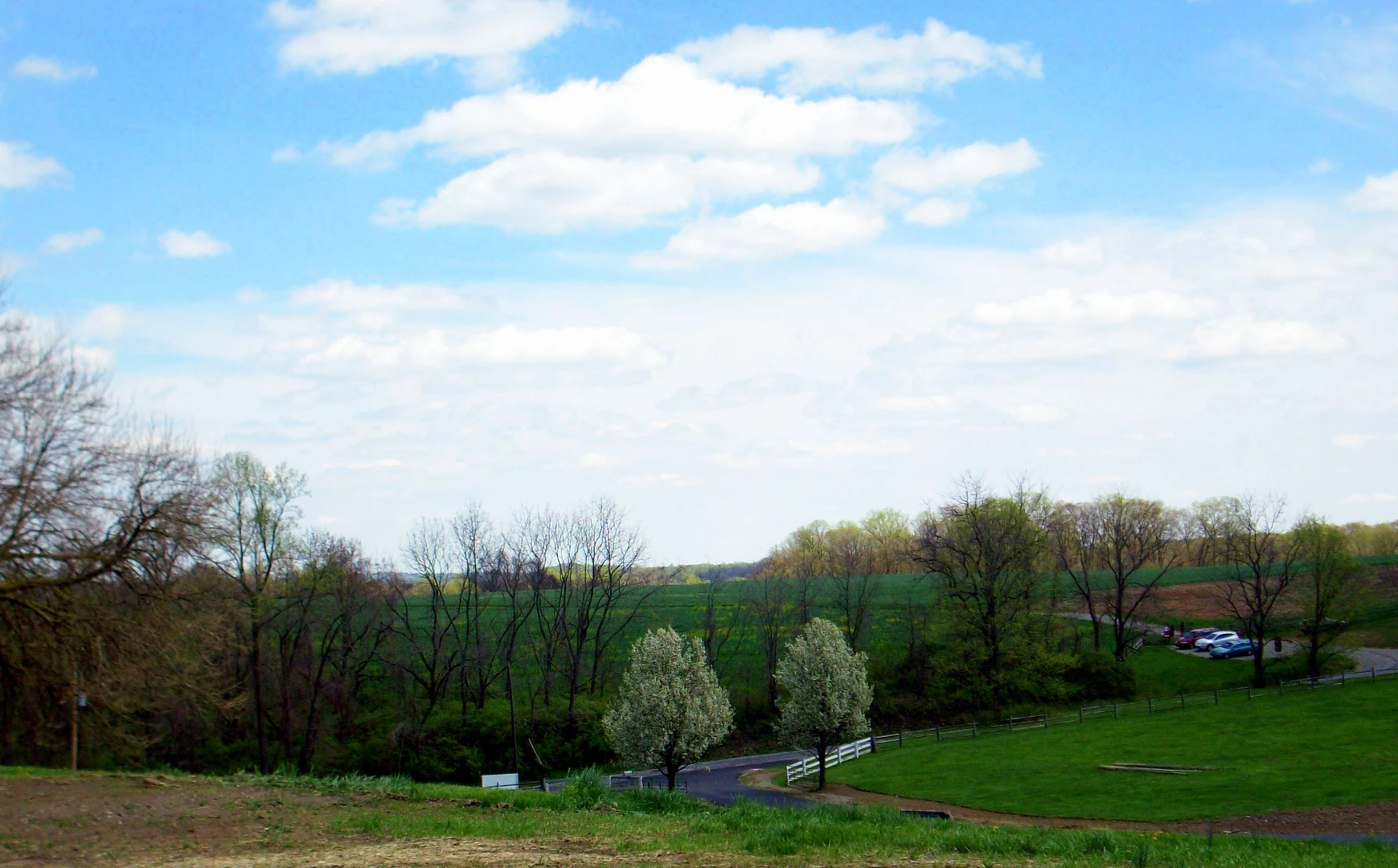 An image depicting the trail Cheslen Preserve - Red Trail and Purple Loop Tral - Embreeville and its surrounding area.