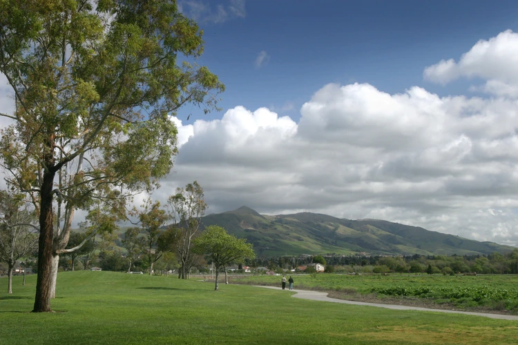 Mission Peak and Monument Peak Trail