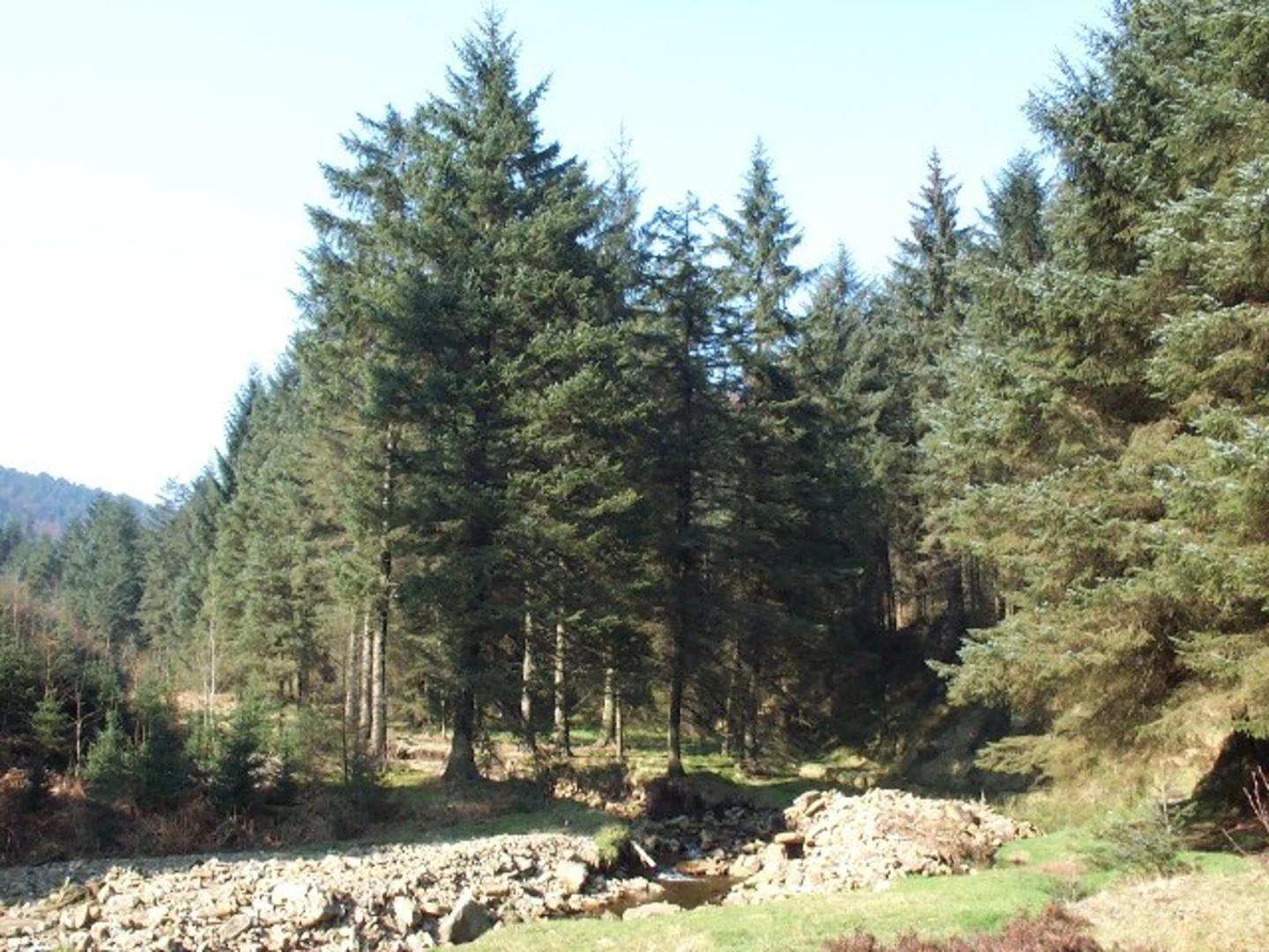 An image depicting the trail Lady Clough and its surrounding area.