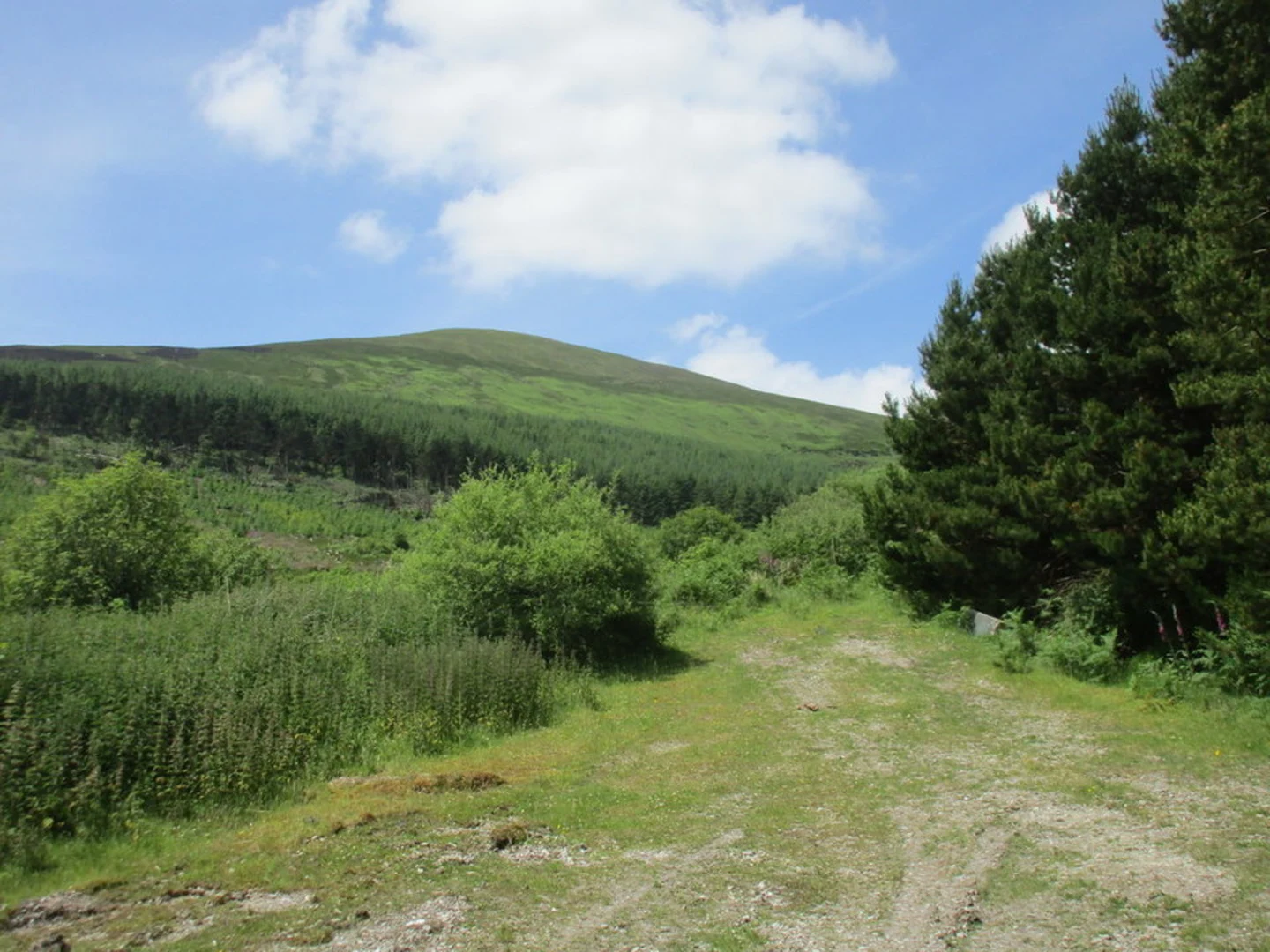 An image depicting the trail Knocknafallia, Knocknagnauv and Knockmealdown Loop from Waterford and its surrounding area.