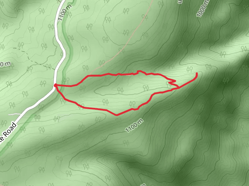 War Branch Trail - War Spur Loop