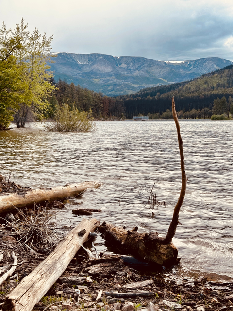 Murphy Lake Path