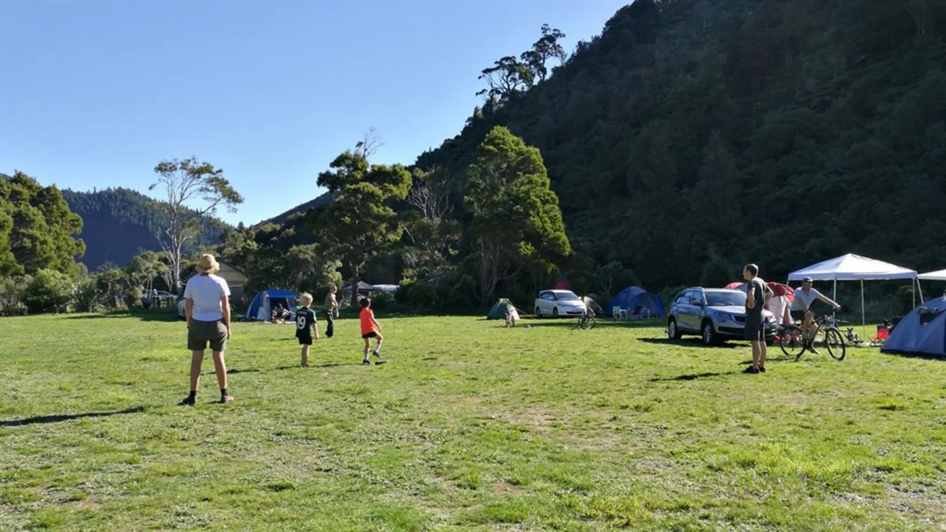 An image depicting the trail Nga Taonga Nature Walk and its surrounding area.