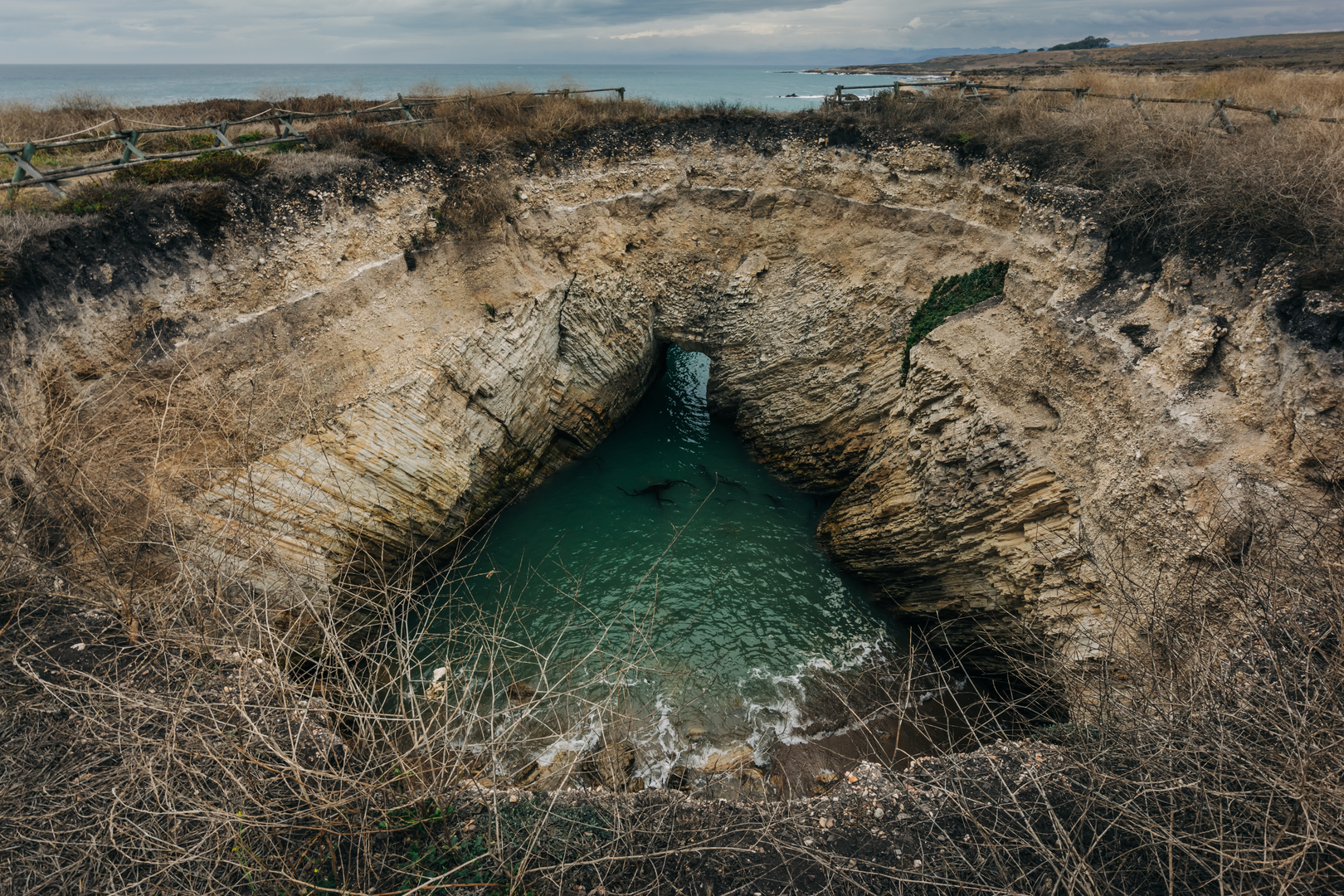 An image depicting the trail Sinkhole via Point Buchon Trail and its surrounding area.