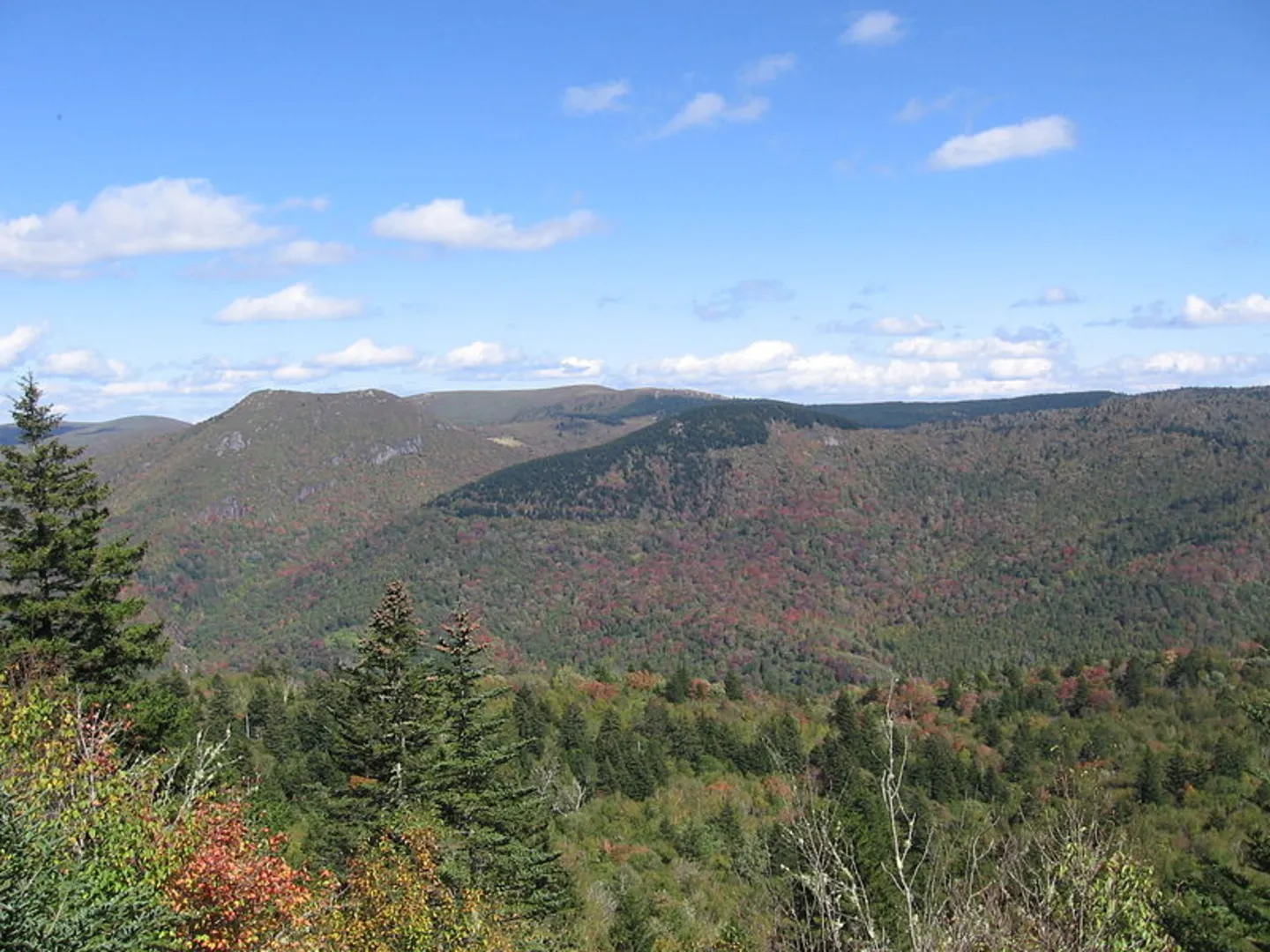 An image depicting the trail Buckeye Gap Trail via Mountains to Sea Trail and its surrounding area.