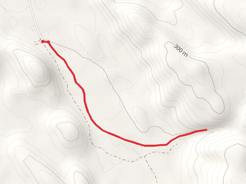Mutawintji Gorge Track