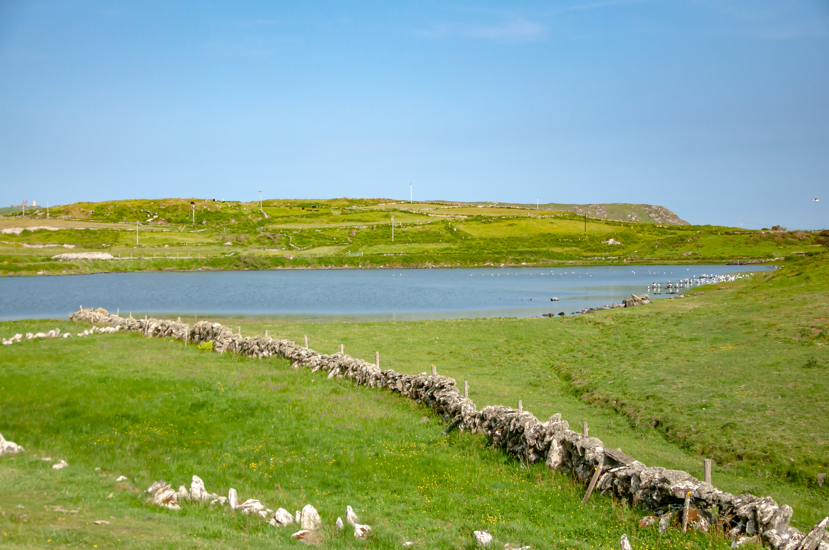 An image depicting the trail Cape Clear - Cnoicin's Loop and its surrounding area.