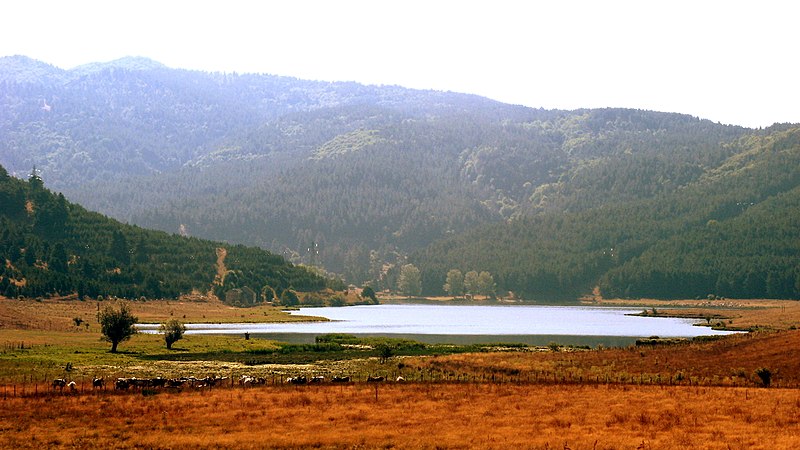 An image depicting the trail Sila National Park and its surrounding area.