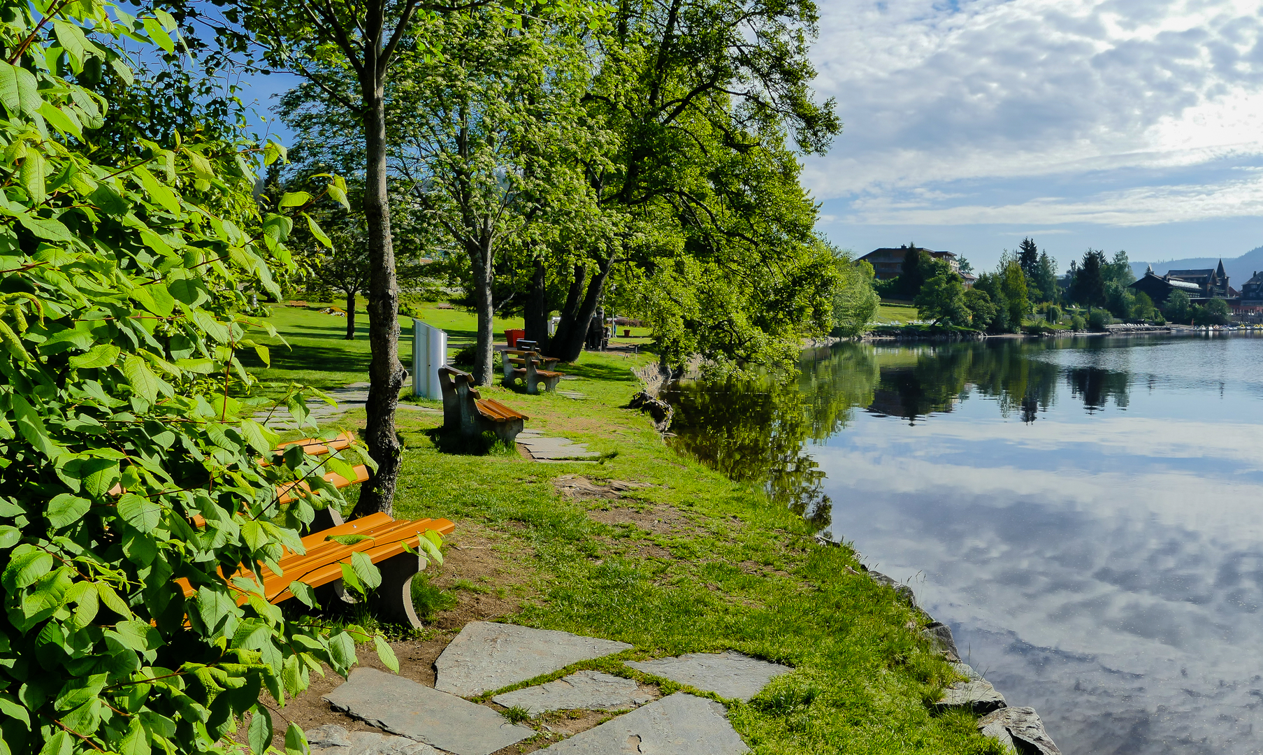 An image depicting the trail Kölner Weg and its surrounding area.