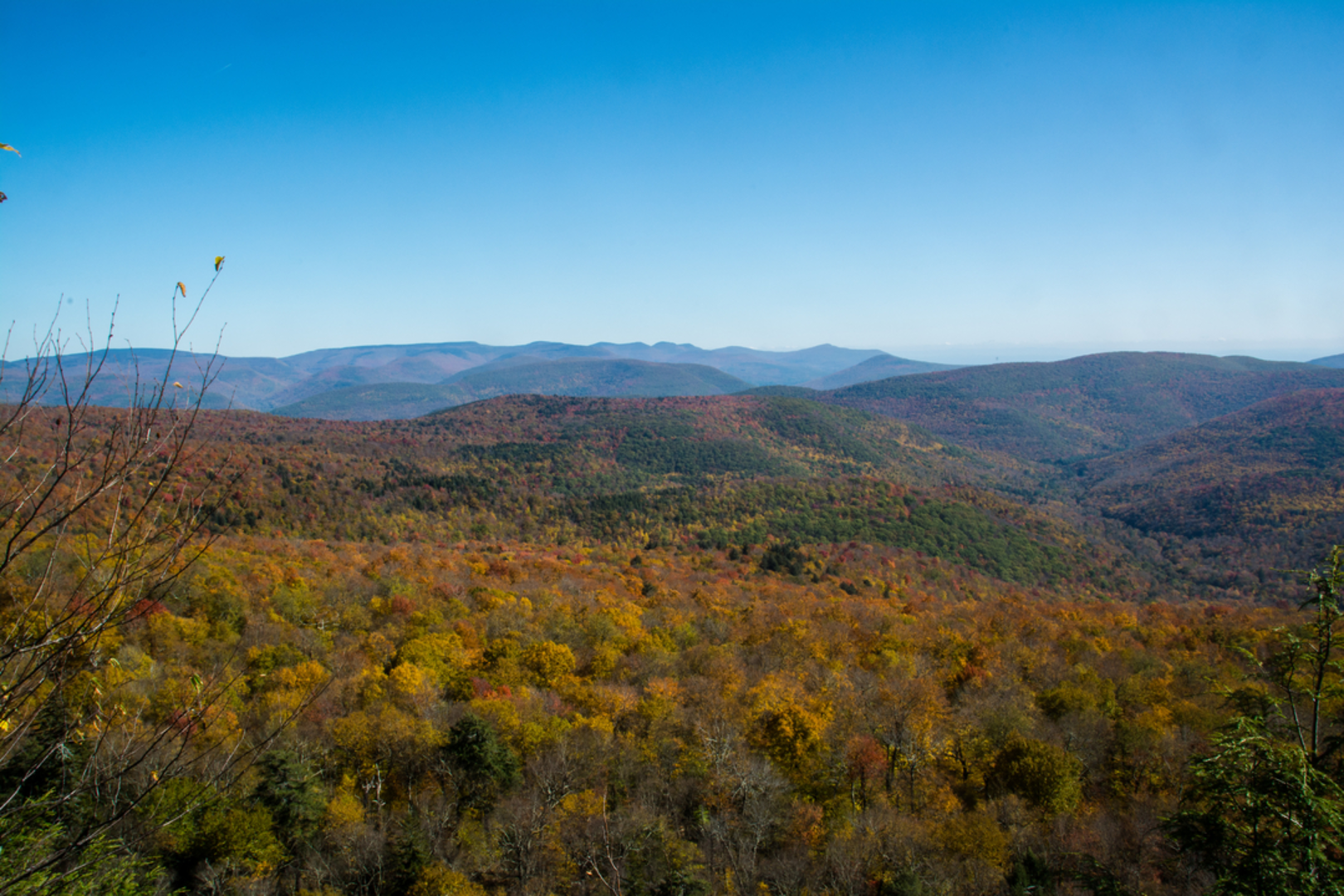 An image depicting the trail Panther Mountain Trail and its surrounding area.