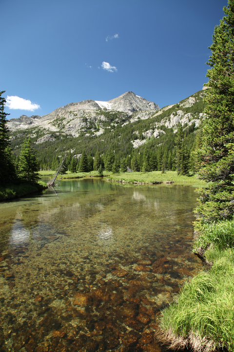 East Fork Buffalo Trail via Buffalo Divide Trail and Buffalo Fork Trail