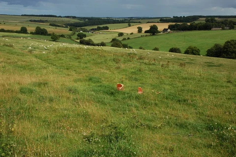 Salperton