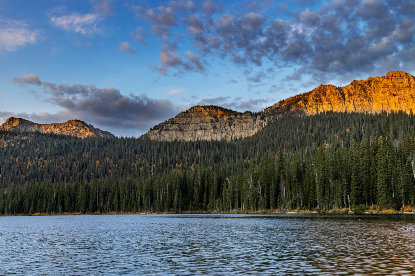 An image depicting the trail Sinclair Creek Trail and its surrounding area.