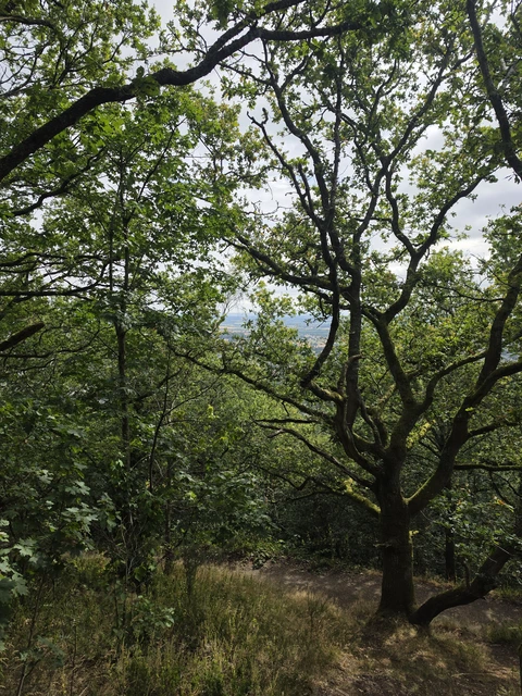 Hike from Great Malvern via Table Hill, Sugarloaf Hill and Worcestershire Beacon