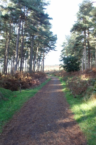Ticknock Loop Three Rock