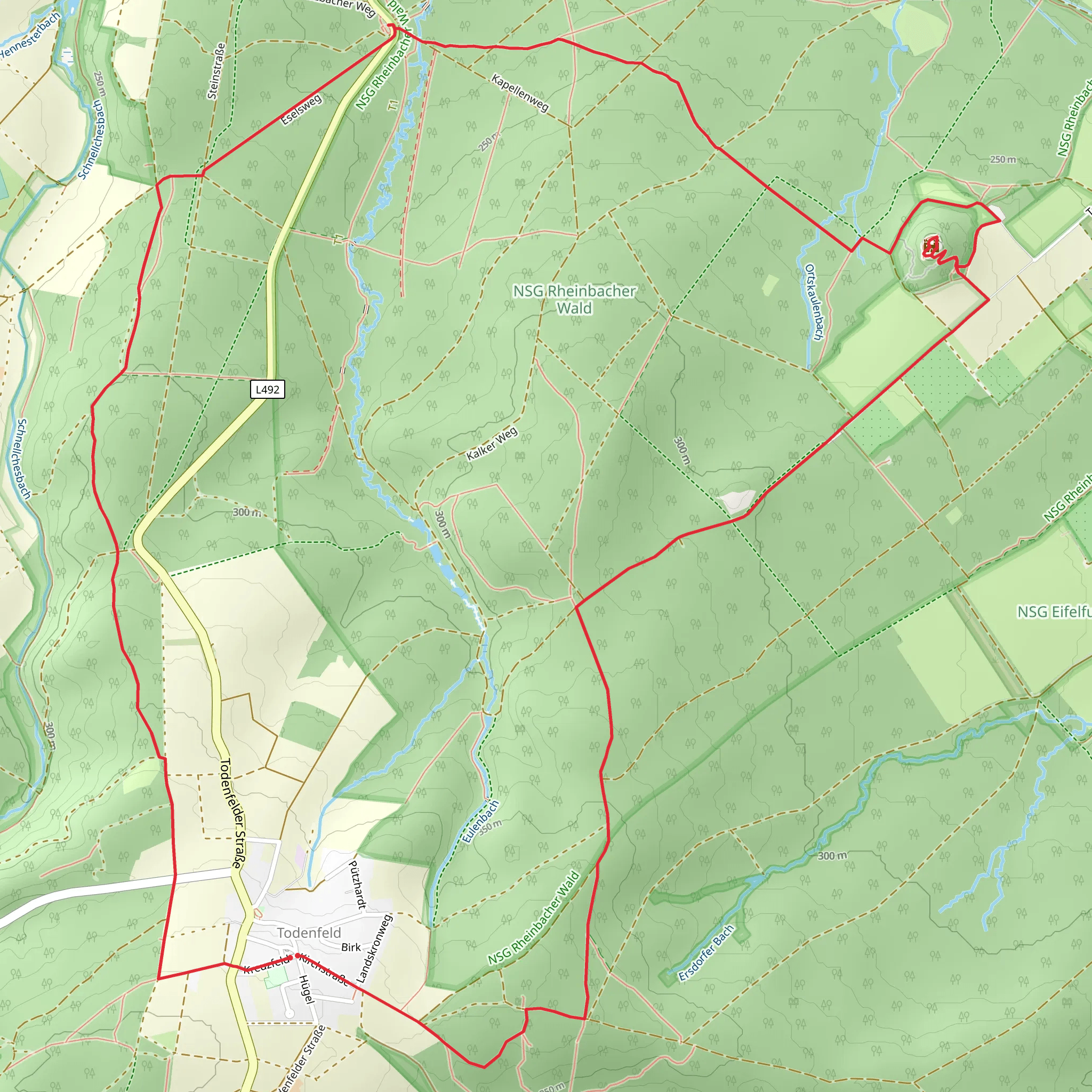 Todenfeld and NSG Rheinbacher Wald Loop via Tomburg Castle mobile static map