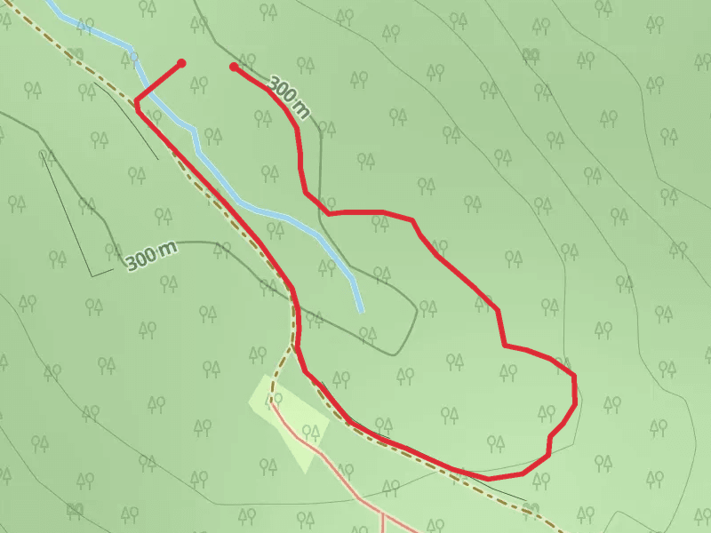 White Brook Road Loop