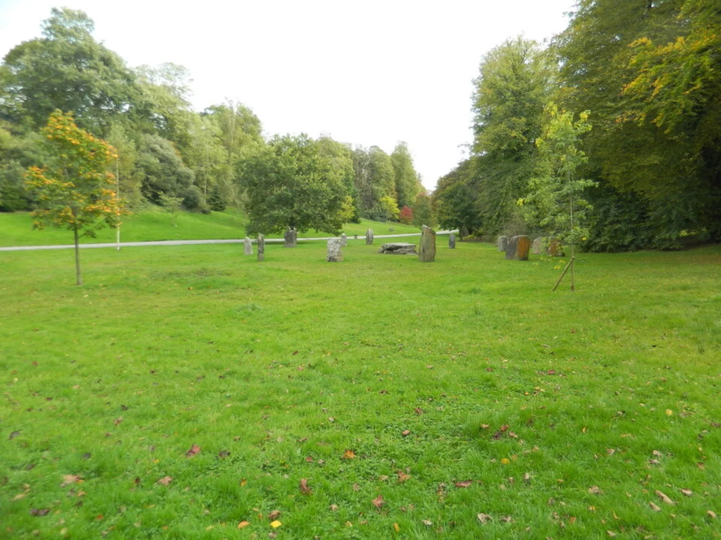 An image depicting the trail Singleton Park Loop and its surrounding area.