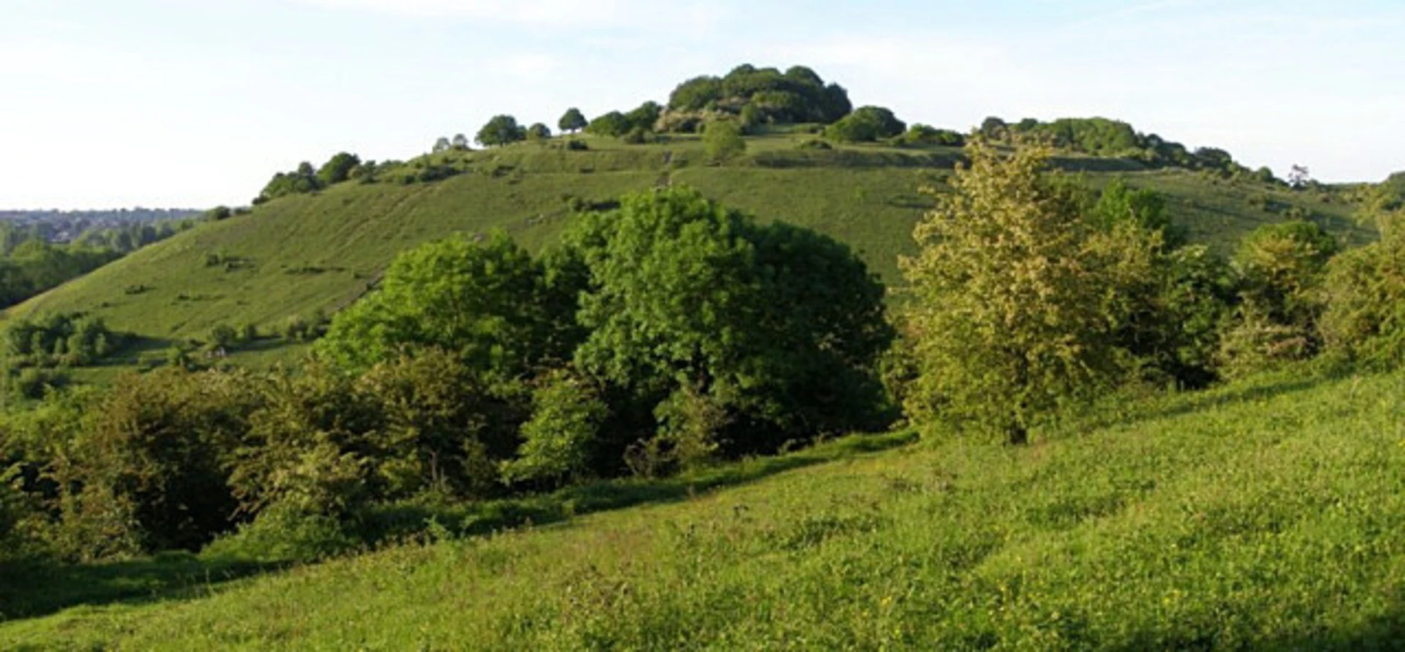 An image depicting the trail St Catherine's Hill Loop and its surrounding area.