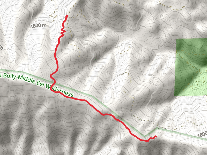Cold Fork Ridge Trail