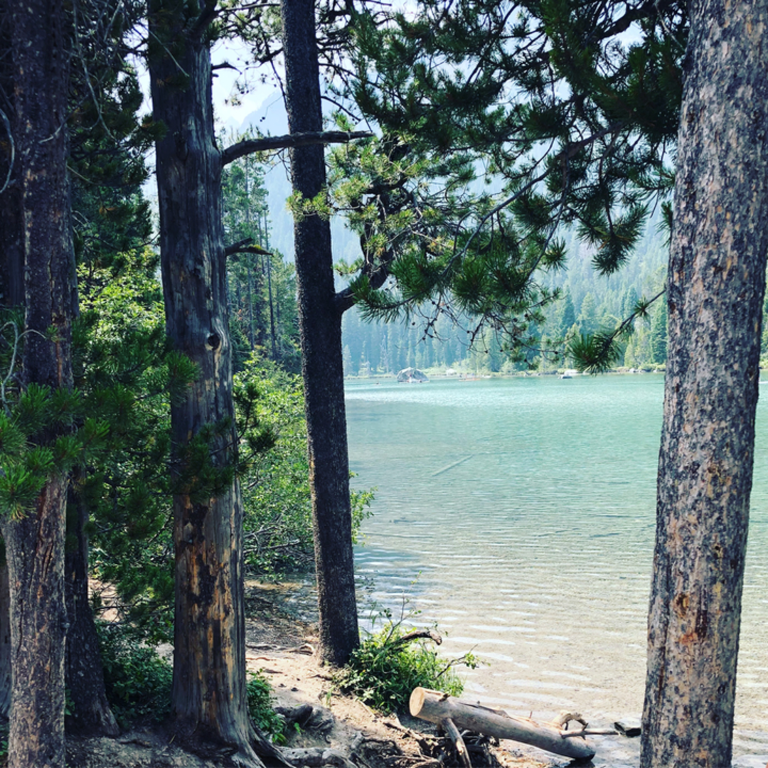 An image depicting the trail Leigh Lake Trail and its surrounding area.