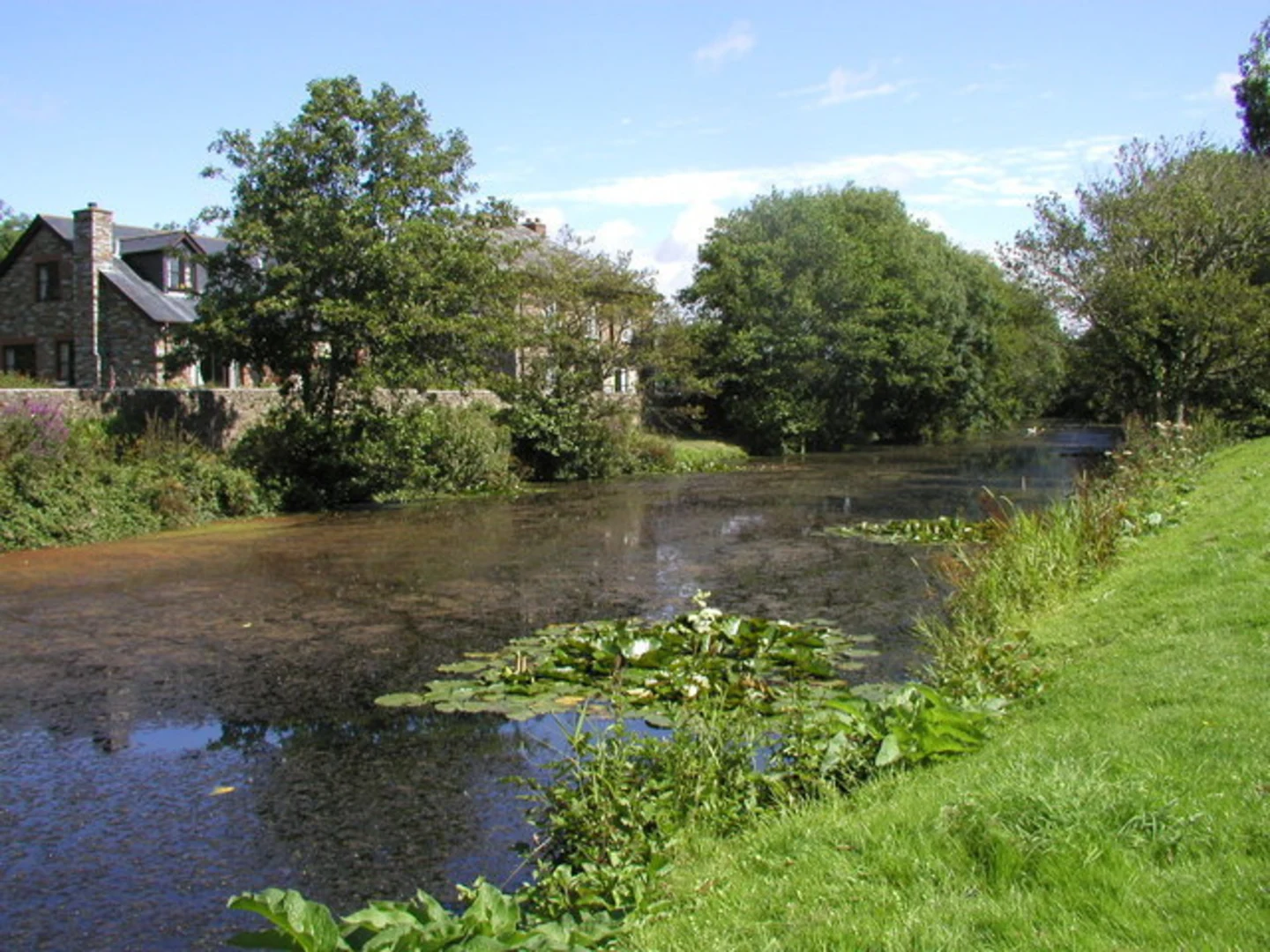 An image depicting the trail Whalesborough Farm - Hele Valley Walk and its surrounding area.