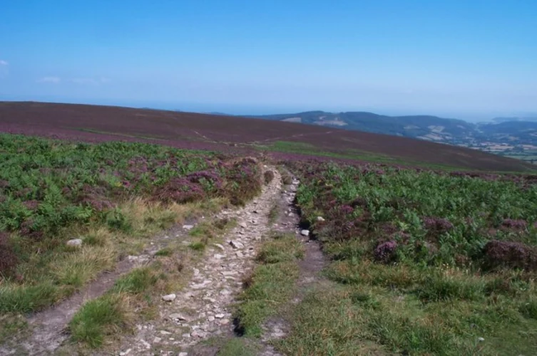 Porlock, Higher Crockwell and Porlock Weir Loop via Horner Wood