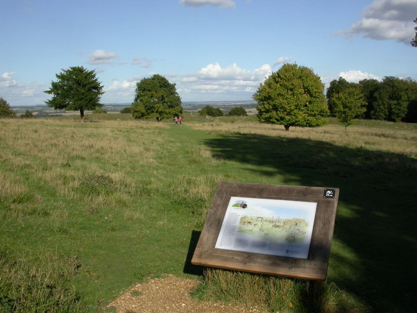 An image depicting the trail Danebury Hill Fort and its surrounding area.