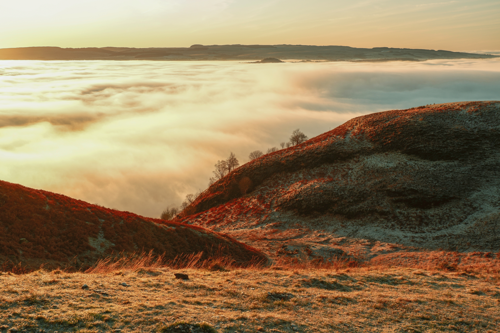 An image depicting the trail Conic Hill Loop from Balmaha and its surrounding area.