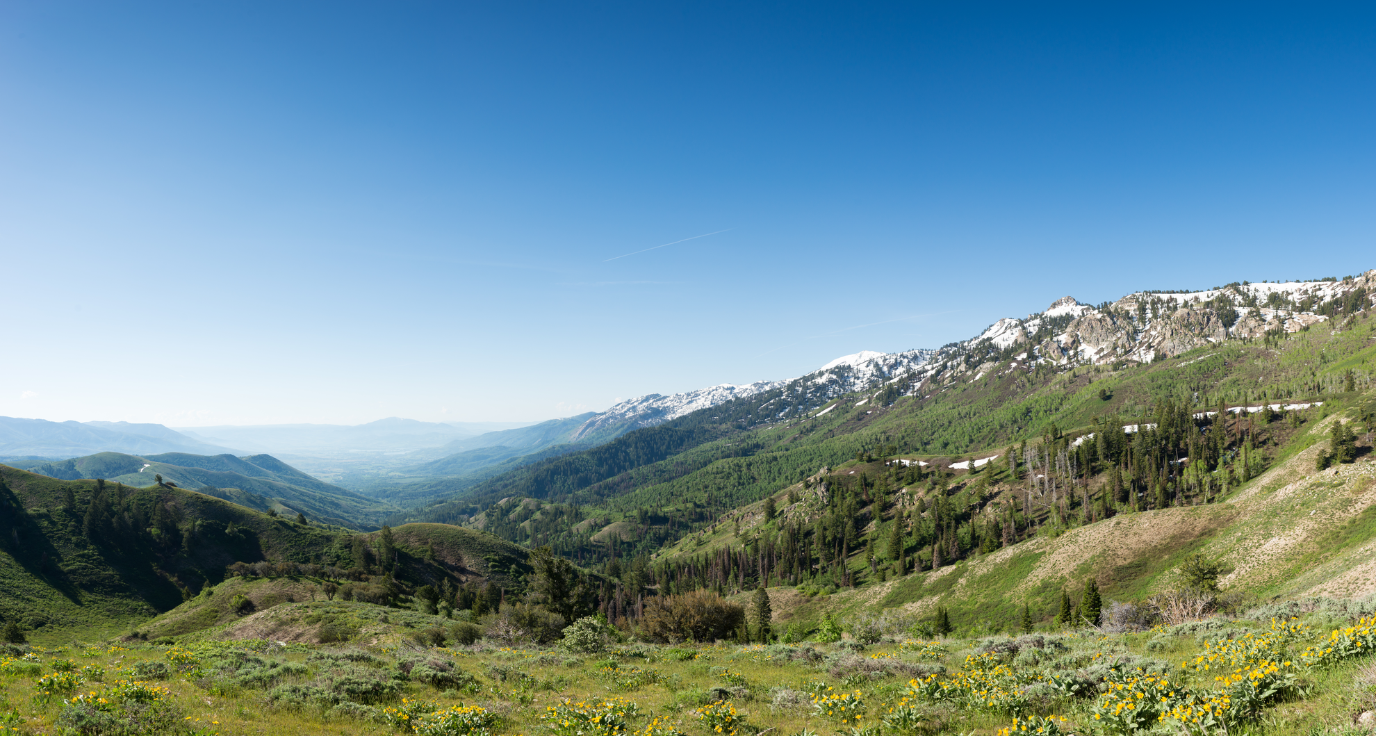 An image depicting the trail Willard Peak and Willard Mountain Loop and its surrounding area.