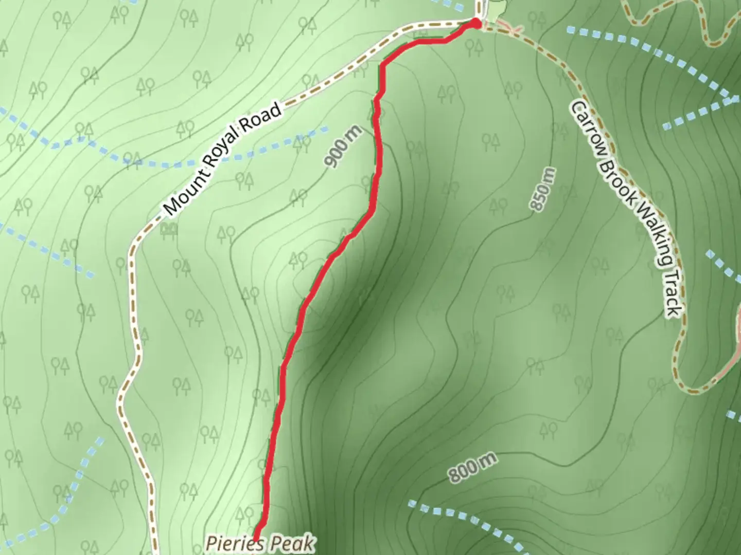 An image depicting the trail Pieries Peak Track and its surrounding area.