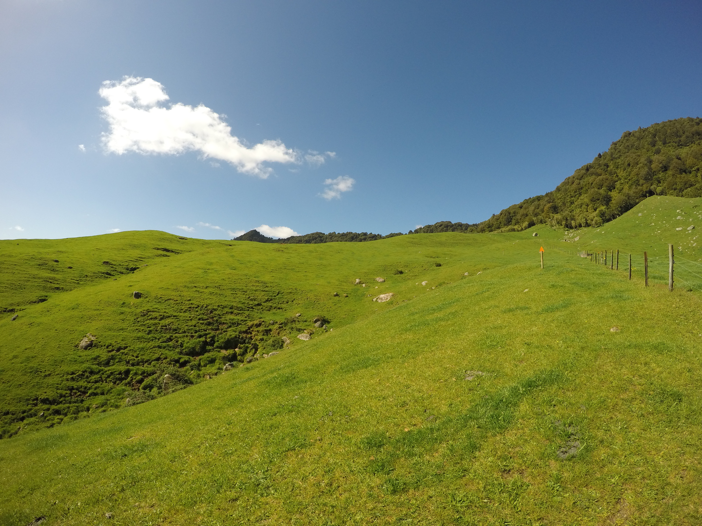 An image depicting the trail Te Tuhi Track to Mangamuka Hut and its surrounding area.