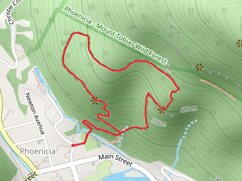 Tanbark Trail - Phoenicia Park