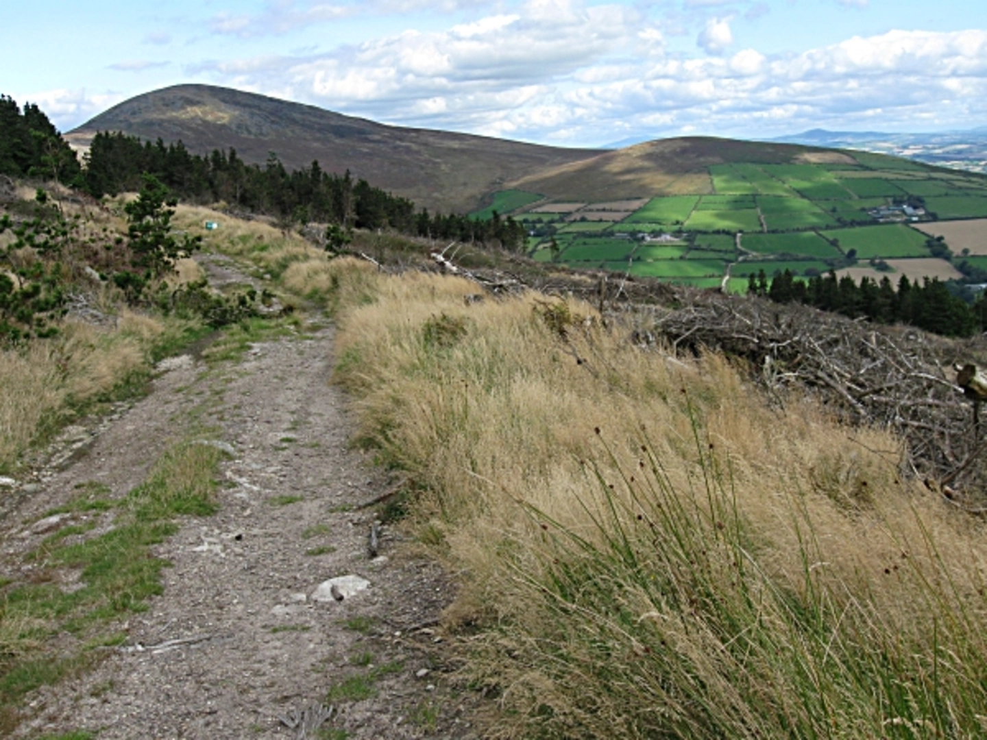 An image depicting the trail Blackstairs Mountain Trail and its surrounding area.
