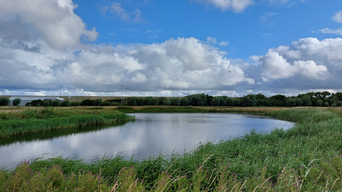 Den Helder to De Nollen Camp via Noord Duinen and Helderse Zeekering