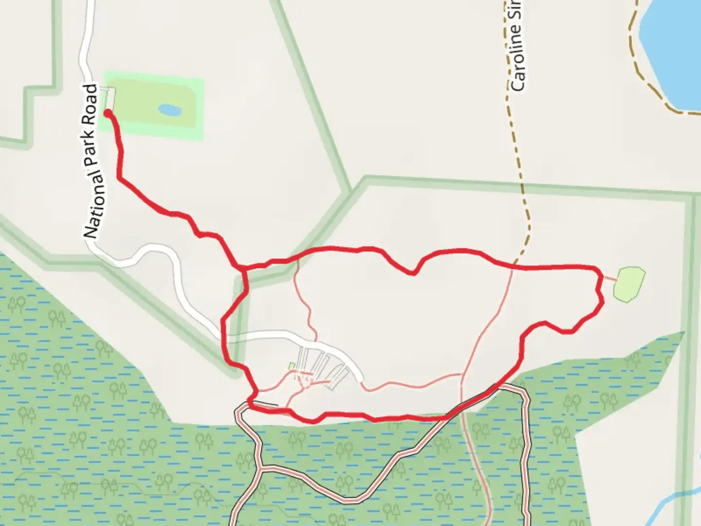 An image depicting the trail Longleaf and Bluff Loop Trail and its surrounding area.