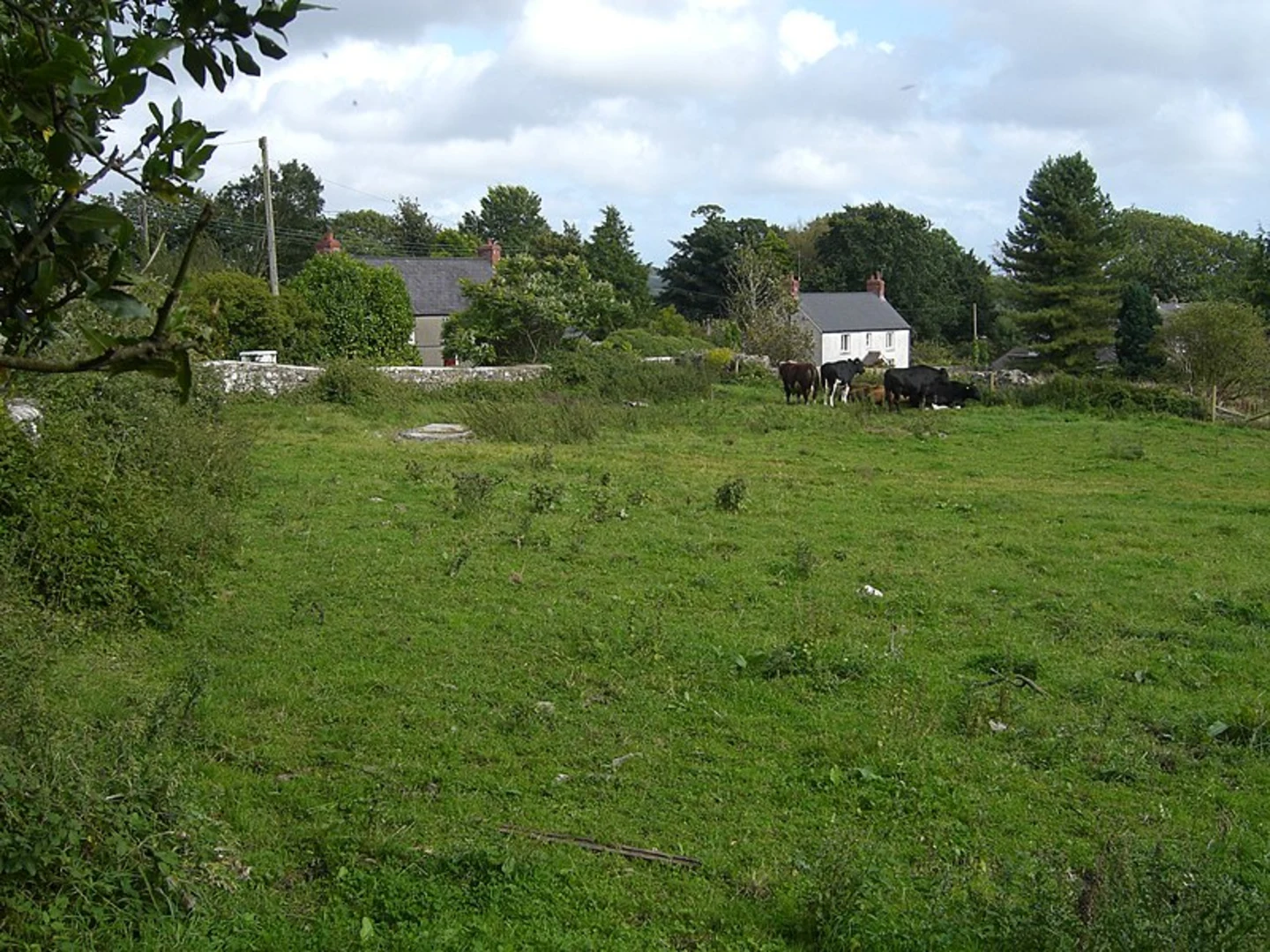An image depicting the trail Lawrenny Trail and its surrounding area.
