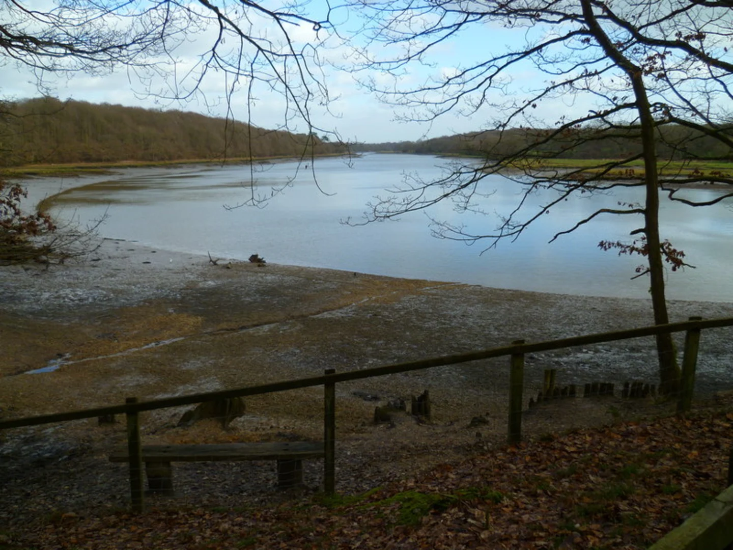 An image depicting the trail Bottom Copse and Manor Farm Country Park via Strawberry Trail and its surrounding area.