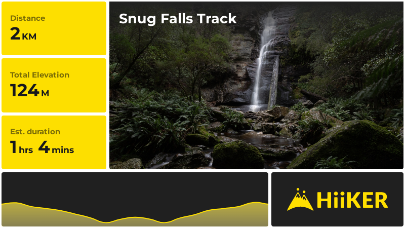 Snug Falls Track | Hobart | Tasmania